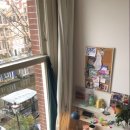 원어민영어회화 이미지