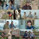 환상 이미지