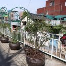 비산2.3동행정복지센터 이미지