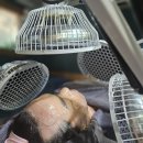 명동 | 명동피부관리 3D케어 명동머드 후기!!!