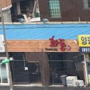 꽃돼지화돈
