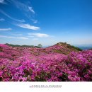 화원목장 이미지