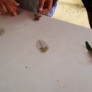 태수농장2 이미지