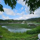 안성맞춤랜드공원13 이미지