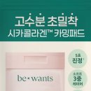 윈츠 이미지