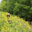 순직산업전사위령탑 이미지