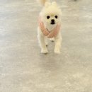 해피오브트리밍 이미지