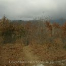 의풍2리 시내버스종점 이미지