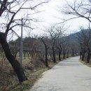 태평사 Daum카페
