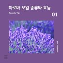 비에이치엘 테라피 이미지