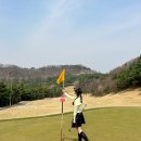 올데이 청주떼제베CC(대중형 골프장-36홀) | 청주 떼제베CC 그늘집 맛집, 날씨, 코스 골프여행