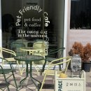 큣페이스 이미지