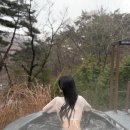 [제천 여행] 숲속에서 즐기는 완벽한 힐링, 포레스트 리솜 내돈내산 숙박 후기 (해브나인 스파 꿀팁)🏡