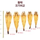 추석맞이 황태선물세트와 추석용황태포 판매합니다.(10+1행사) 이미지