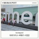 높고 맑은 소리, 소금(2) | 인천시티투어 2층 버스 송도에서 출발! 씨메르 수영장 찜질방 후기