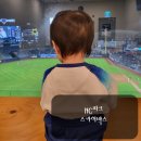 창원NC파크 스카이박스 에어컨 빵빵하게 야구 응원하기