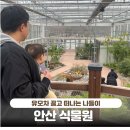 관인어린이집 | 안산 실내 식물원 운영시간 주차 입장료 겨울 아기랑 갈만한 곳