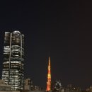 6182 | [도쿄타워 야경🗼🌕] 롯폰기힐스 도쿄 시티 뷰 전망대 후기