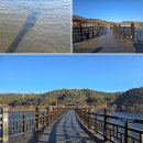 관광단지로(성곡동) | 안동 여행 코스 애틋한 사랑의 안동 월영교와 봉정사