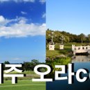 [1박2일 마감] 02/23(목)~24(금) 제주오라cc 26.2만 부부대기 이미지