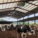 대형목장 이미지