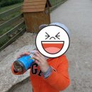 병목목장 이미지