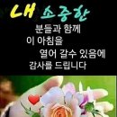 디오그 이미지
