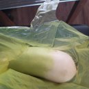 신장축산 이미지