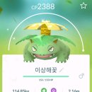 이로치 이상해꽃! 이미지