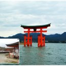 [일본유학]일본여행정보 - 2009년 벚꽃명소,벚꽃축제~주/시코쿠 지역~ 이미지