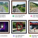 전주한옥레일바이크 티스토리