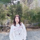 수아농원 | 부산 오초량 봄 전시회 &lt;매화바보&gt; 관람 후기