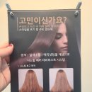 헤어담이 이미지