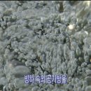 J0001 이미지