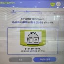 풍림수선