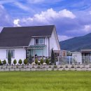 퍼피빌리티 이미지