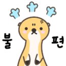 다나두피 이미지
