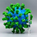 조류 인플루엔자의 대유행은 시간문제라는 CDC 전 국장 이미지