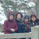 신영현 네이버블로그