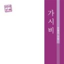 가시비 이미지