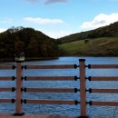 가오목장 이미지