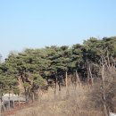 우덕건설(주) Daum카페