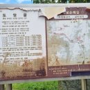 도양-7호 이미지