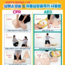 [기본응급처치] 심폐소생술 이미지
