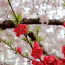 명륜역(온천장역 방면) 이미지