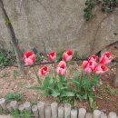 바다내음 민박 이미지