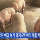 의성4농장 이미지