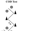 스프린트 PT 이미지