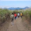 변산반도여행6 이미지