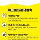 에그셀런트 이미지